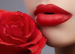 Usta kobiety przy czerwonej róży