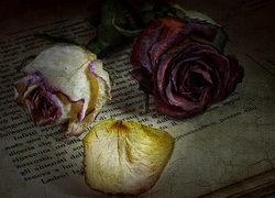 Ususzone róże i płatki na książce