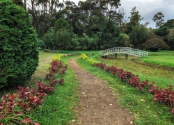 Sri Lanka, Nuwara Eliya, Victoria Park, Drzewa, Kwiaty, Mostek