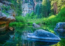 Stany Zjednoczone, Arizona, Obszar West Clear Creek Wilderness, Wąwóz West Clear Creek Canyon,  Kamienie, Drzewa, Skały