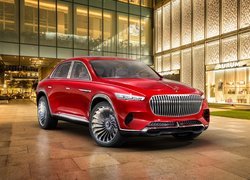 Vision Mercedes-Maybach Ultimate Luxury