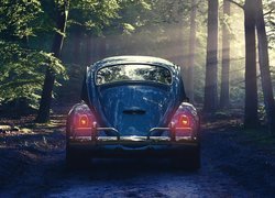 Volkswagen Garbus na leśnej ścieżce