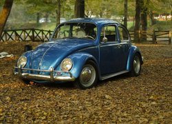 Volkswagen Beetle, Garbus, Park