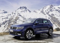 Volkswagen Tiguan R-Line, Volkswagen Tiguan II, 2016