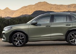 Volkswagen Tiguan, R, Bok