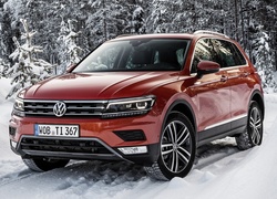 Volkswagen Tiguan zimową porą