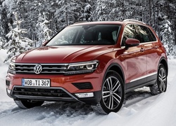 Volkswagen Tiguan, 2017, Zima