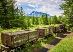 Kanada, Alberta, Lasy, Drzewa, Góra, Mount Rundle, Park Narodowy Banff