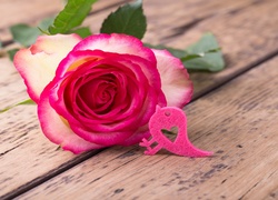 Walentynkowa róża i ptaszek z serduszkiem