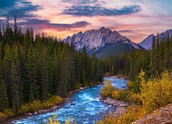 Wąwóz Evelyn Creek i góry Colin Range