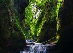 Szkocja, Wąwóz Finnich Glen, Rzeka Carnock Burn, Stirling, Szkocja