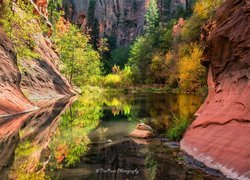 Stany Zjednoczone, Arizona, Sedona, Skały, Wąwóz, Rzeka, Drzewa, Odbicie