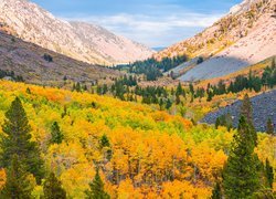 Góry, Drzewa, Lasy, Jesień, Wąwóz, Lundy Canyon, Kalifornia, Stany Zjednoczone