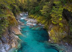 Nowa Zelandia, Otago, Park Narodowy Mount Aspiring, Wąwóz, Skały, Rzeka, Makarora River, Roślinność