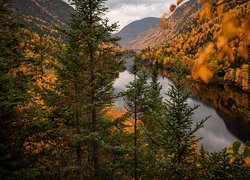 Jesień, Góry, Wąwóz, Rzeka, Malbaie River, Drzewa, Park Narodowy Hautes Gorges de la Riviere Malbaie, Prowincja Quebec, Kanada