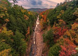 Wąwóz rzeki Ottauquechee River w Stanie Vermont