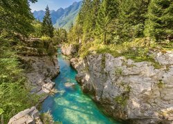 Słowenia, Rzeka Socza, Wąwóz, Skały, Drzewa