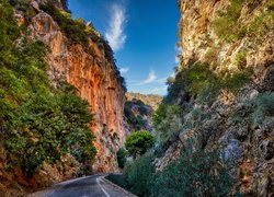 Droga, Skały, Wąwóz Samaria, Drzewa, Kreta, Grecja