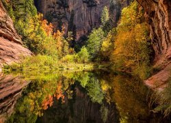 Stany Zjednoczone, Stan Arizona, Sedona, Skały, Wąwóz, Rzeka, Drzewa, Odbicie