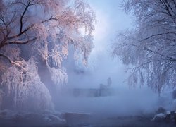 Wędkarz nad zamgloną o poranku rzeką wśród oszronionych drzew