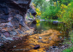 West Fork Oak Creek, Sedona, Arizona, Stany Zjednoczone, Las, Drzewa, Rzeka, Skały