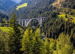 Szwajcaria, Kanton Gryzonia, Góry, Alpy, Most, Wiadukt Langwieser, Lasy, Drzewa