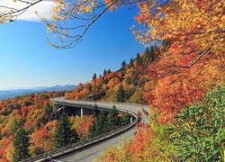 Jesień, Droga, Las, Drzewa, Góry, Blue Ridge, Pasmo Błękitne, Most, Wiadukt Linn Cove, Karolina Północna, Stany Zjednoczone