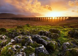 Wiadukt Ribblehead w Anglii