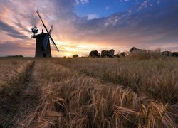 Pole, Wiatrak, Zachód słońca, Great Haseley, Hrabstwo Oxfordshire, Anglia