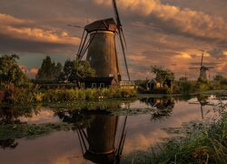 Wiatraki i rośliny nad kanałem w Kinderdijk