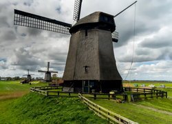 Wiatraki na polach w Holandii
