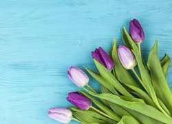 Fioletowe, Tulipany, Niebieska, Deska