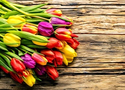Kwiaty, Tulipany, Deski