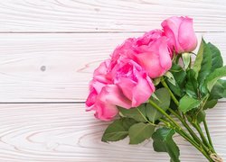 Wiązanka różowych róż na białych deskach
