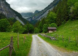 Góry, Alpy Berneńskie, Mgła, Droga, Domek, Drzewa, Ogrodzenie, Gimmelwald, Szwajcaria