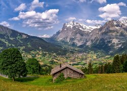 Widok na Alpy i wieś w dolinie Grindelwald