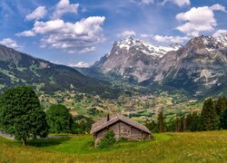 Lato, Góry, Alpy, Dom, Dolina, Grindelwald, Szwajcaria