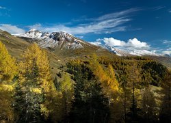 Widok na Alpy w powiecie Zell am See w Austrii