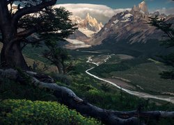 Park Narodowy Los Glaciares, Góry, Szczyt Cerro Torre, Szczyt Fitz Roy, Gałęzie, Drzewa, Dolina, Rzeka Rio de las Vueltas, Patagonia, Argentyna