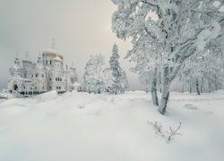 Zima, Śnieg, Drzewa, Cerkiew