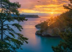 Widok na cieśninę Deception Pass w Oak Harbor