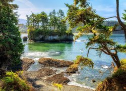 Stany Zjednoczone, Stan Waszyngton, Cieśnina Juan de Fuca, Park Salt Creek Recreation Area, Jezioro, Wysepka, Drzewa, Lasy