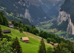 Góry, Domy, Drzewa, Wzgórza, Dolina, Lauterbrunnen Valley, Gmina Lauterbrunnen, Kanton Berno, Szwajcaria