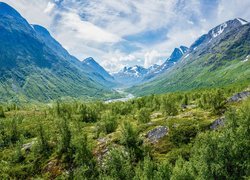 Góry, Roślinność, Rzeka, Skały, Dolina Leirdalen, Norwegia