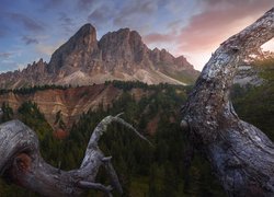 Góry, Dolomity, Przełęcz, Wurzjoch, Passo del Erbe, Drzewa, Chmury, Włochy