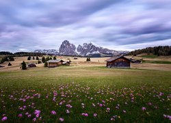 Włochy, Dolina Val Gardena, Góry, Dolomity, Łąka, Kwiaty, Domy