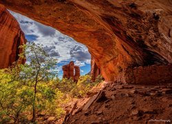 Stany Zjednoczone, Stan Arizona, Sedona, Skała, Formacja skalna, Tree Sisters Ruins, Drzewa