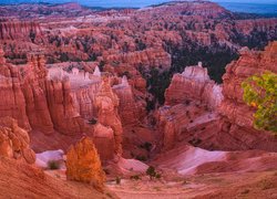 Kanion, Drzewa, Skały, Park Narodowy Bryce Canyon, Utah, Stany Zjednoczone
