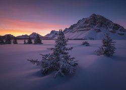 Kanada, Alberta, Park Narodowy Banff, Góra Crowfoot Mountain, Góry, Zima, Wschód słońca, Drzewa
