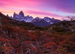 Widok na górę Fitz Roy w Patagonii pod zaróżowionym niebem